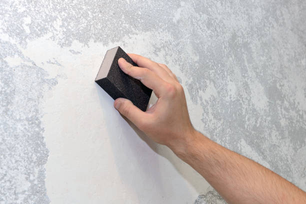 Trusted Scott Af, IL Mold Removal Experts