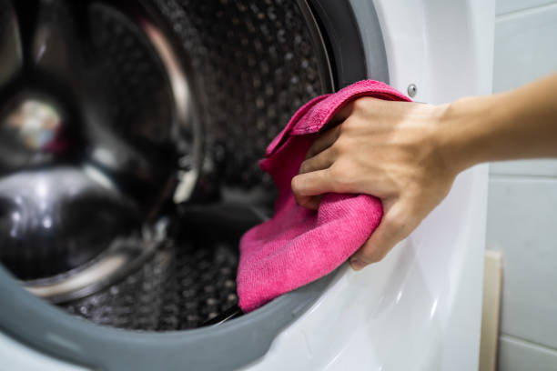 Best Mold Prevention Services  in Scott Af, IL