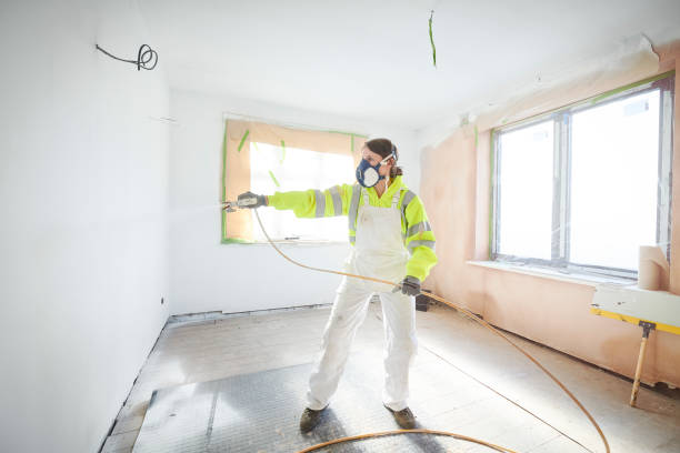 Best Black Mold Removal  in Scott Af, IL