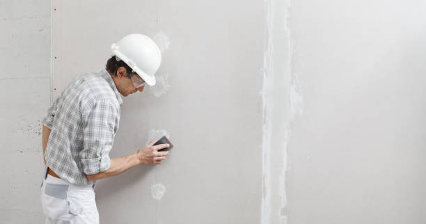 Best Mold Remediation for Healthcare Facilities  in Scott Af, IL