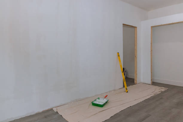 Best Asbestos and Lead Testing During Mold Inspection  in Scott Af, IL
