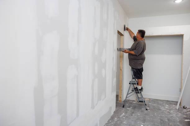 Best Post-Construction Mold Inspection  in Scott Af, IL