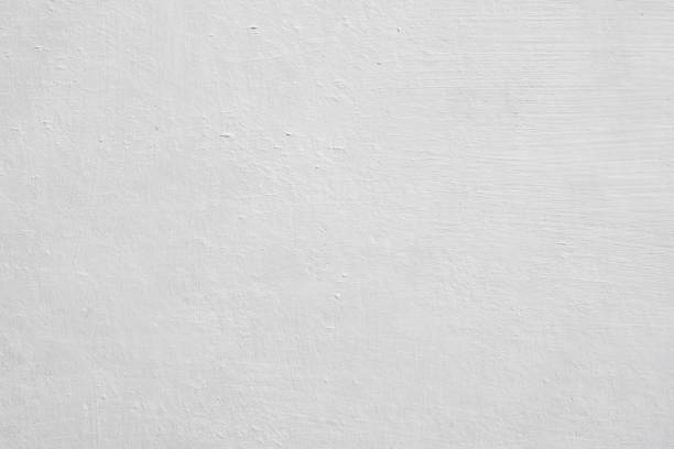 Best Attic Mold Removal  in Scott Af, IL
