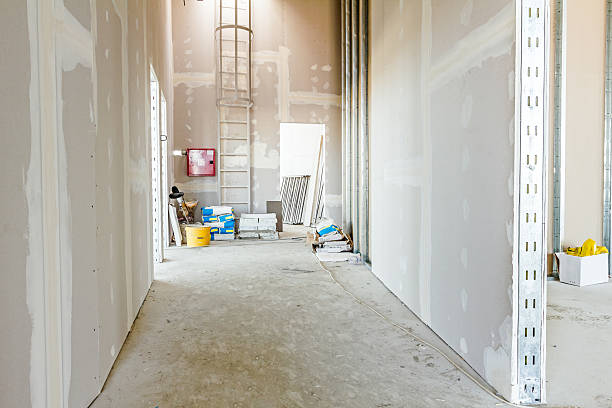 Best Mold Removal for HVAC Installations  in Scott Af, IL